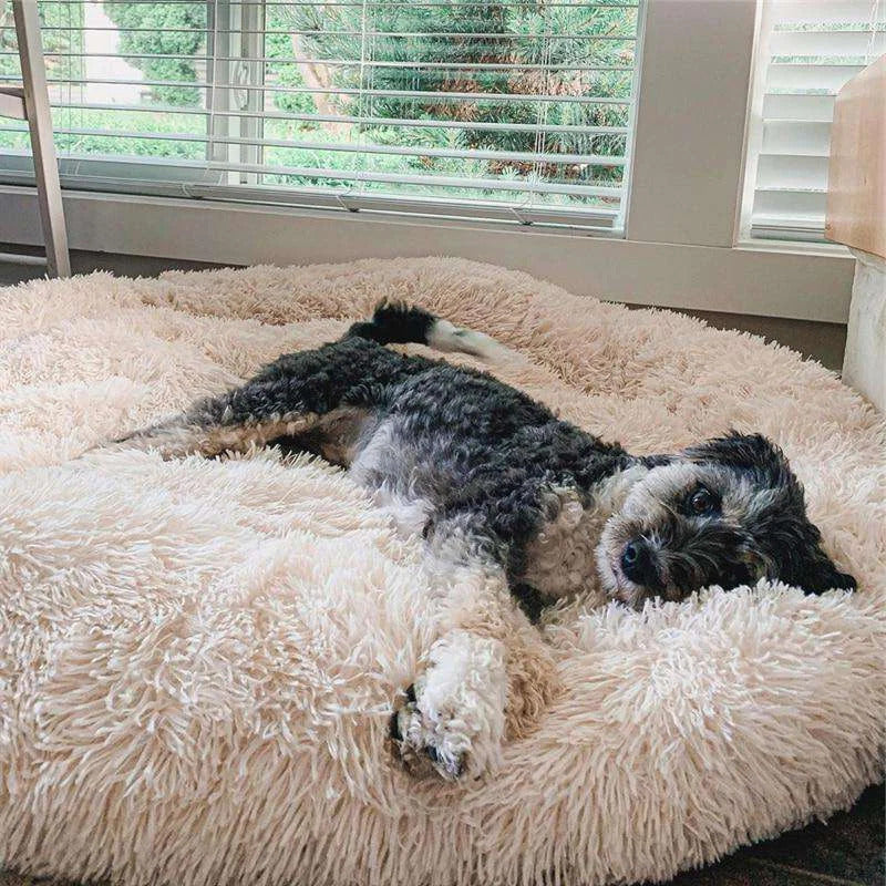 Comfortabel bed voor FluffyFriends