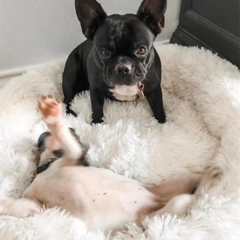 Comfortabel bed voor FluffyFriends