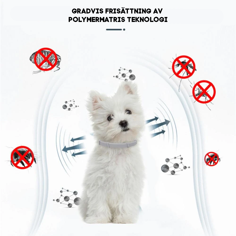 Pup Halsband - 8 maanden bescherming