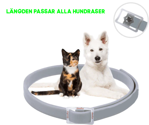 Pup Halsband - 8 maanden bescherming
