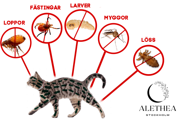 Pup Halsband - 8 maanden bescherming